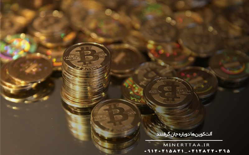 آلت‌کوین‌ها دوباره جان گرفتند